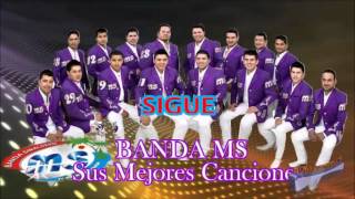 Banda MS Sigue 2013 [upl. by Naitsabes179]