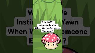 Why Do We Instinctively Yawn When We See Someone Else Yawn thewonderzone yawn funfacts why [upl. by Ydnys]