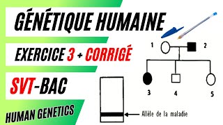 ✅SVTBac GÉNÉTIQUE HUMAINE Méthode danalyse de pédigrée  Exercice 3  Corrigé [upl. by Aiynot90]