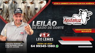 Andaluz Leilões I Léo Lemes Leilão de Gado de Corte em Goiás 21102024  Leilão Ao Vivo [upl. by Ahseuqal776]