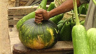 গ্রামগঞ্জের হাটবাজার  TRADITIONAL VILLAGE MARKET IN BANGLADESH [upl. by Anaicul]