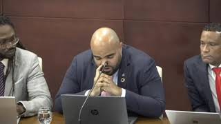 Video 22 Marinka Gumbs St Maarten Parliament Sint Maarten Government JudithRoumouStMaartenNews [upl. by Boorer315]