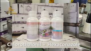 Chlorothalonil 250 GL  Hexaconazole 50 GL SC，Chlorothalonil  Hexaconazole，Mixture Fungicide [upl. by Alleunam]