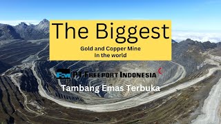 The Biggest Gold And Copper Mine FREEPORT INDONESIA Tambang Emas Terbesar di Dunia [upl. by Llertnek]