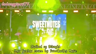 Budbod ug Bibingka Max Surban cover by Sweetnotes Music [upl. by Edgerton]