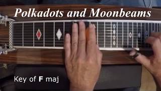 Polkadots and Moonbeams  E9th Pedal Steel  Tutorial [upl. by Musser]