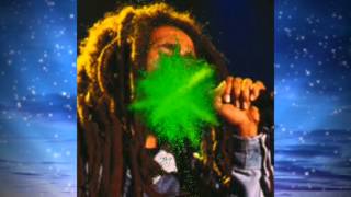 Dr Victor amp The Rasta Rebels  Bob Marley Medley [upl. by Aubry]