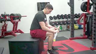 Seated Pronated Wrist Curls [upl. by Aciram401]