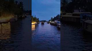 Houseboat night view in Alleppey⛵shortsytshortsalleppeykerla [upl. by Jakoba264]