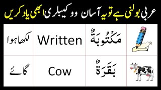 Arabic Words in English and Urdu  Part 22  1000 Arabic Words  Arabic Vocabulary for Beginners [upl. by Alidia]