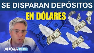 DEPÓSITOS EN DÓLARES suben más de US 150 MILLONES diarios ¿Qué hay detrás  Maxi Montenegro [upl. by Bailar]