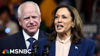 ‘She’s taking Republicans away from Trump’ Pollster reveals shocking new data for Harris [upl. by Wohlert]