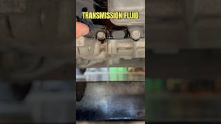 CHECKING TRANSMISSION FLUID ON A KIA RIO IS RIDICULOUS [upl. by Broddie674]