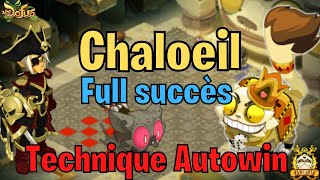 DOFUS CHALOEIL FULL SUCCES  TECHNIQUE AUTOWIN  FREE KOUGNARD [upl. by Aramo]