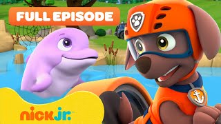 PAW Patrol Pups Pups Save a Dolphin Pup w Zuma 🐬 FULL EPISODE  Nick Jr [upl. by Dasya]