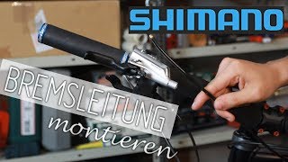 Shimano Bremse  entlüften Bremsleitung tauschen oder kürzen Shimano Deore XT [upl. by Hudnut]