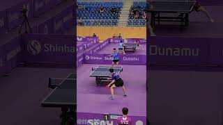 🏓 lobbing defense KIM MIN HYEOK김민혁s Point [upl. by Annis]