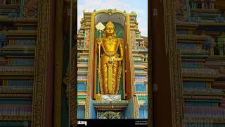 அரோகரா🔱அரோகரா🔱 அரோகரா🔱thiruchendur murugan thirupugal திருப்புகழ் [upl. by Atirahc]