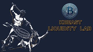 Kbeast Liquidity Lab bitcoin 比特币 UPDATE 2024 111 trading ordeflow crypto liquidity TPO [upl. by Attey662]