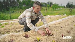 Biodynamic Farming with Thea Maria Carlson  An Earthed Course [upl. by Bullock104]