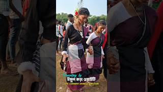 Santali Function Dance Video  New santali function song 2024 [upl. by Antonius610]