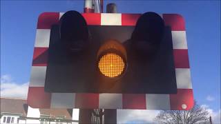 LEVEL CROSSINGS IN THE UK 2017 [upl. by Kcorb433]