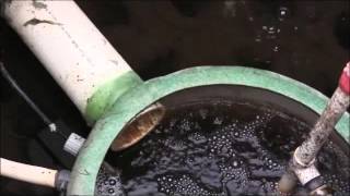 Water Quality Technician Ryan Sheldon Inspects a MultiFlo Sewage Treatment System [upl. by Hadwin]