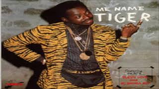 Tiger  Carbon copy punanny Riddim [upl. by Anat794]