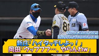 新庄「ハイタッチしよっ！」岡田「ウッフフフ…。やらんわw」【なんJ2ch5chネット 反応 まとめ阪神タイガース岡田監督新庄監督】 [upl. by Ware]