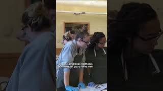 Healthcare Education at Elms College [upl. by Esinev72]