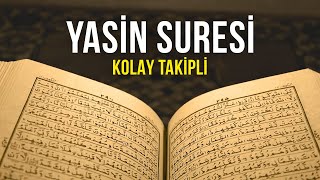 Yasin Suresi Dinle  Kolay Takipli  4K  Lamelif Kuran [upl. by Grory]