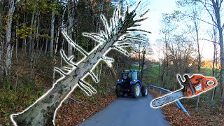 Farmers POV  Clearing Dangerous Hung Trees  New Holland T475 Husqvarna 353 [upl. by Anselmi963]