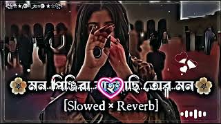 মন পঞজর Mon Pinjira Mon Pinjira Slow Music slowed  reverb [upl. by Ahseyk467]