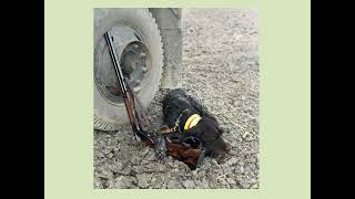 Jagdhundeausbildung in Bayern Die QBPO in Kürze erklärt [upl. by Alfie]