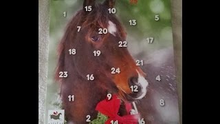 Calendrier de lavant POUR CHEVAUX [upl. by Resa]