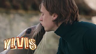 Ylvis  Language of Love Official music video HD [upl. by Northrop964]