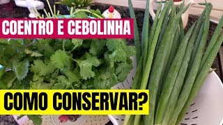 COMO CONSERVAR COENTRO E CEBOLINHA POR MUITO MAIS TEMPO decorandodrikka [upl. by Llenral]