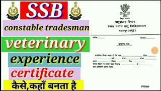 SSB constable veterinary experience certificate kaise banawyeveterinary experience certificate [upl. by Roskes950]