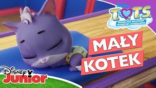 Chyba kiciujesz  TOTS  Disney Junior Polska [upl. by Aurilia701]