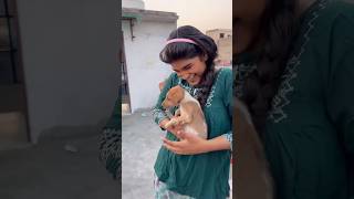 Chote puppy ka ilaj 😨 vlog 176 minivloging tranding ashortaday [upl. by Akinas550]