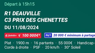 Yan Pronostic Pmu Quinté Du dimanche 11 août 2024 🍀 [upl. by Aerdnwahs]