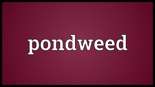 Pondweed Meaning [upl. by Afrika]