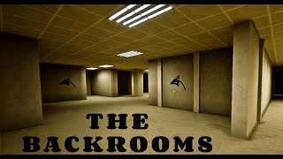 THE BACKROOMS  EXPLORING A SECRET LEVEL ACCESSED THROUGH LEVEL 0 [upl. by Nap]