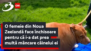 O femeie din Noua Zeelandă face închisoare pentru că ia dat prea multă mâncare câinelui ei [upl. by Arnst]