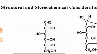 Phytochemistry du CHO part 2 [upl. by Ibob]