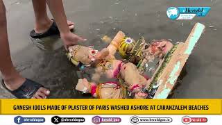 Ganesh idols made of Plaster of Paris washed ashore at Caranzalem beaches [upl. by Odracir6]