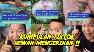 Kumpulan tiktok hewan paling mengerikan ‼️😱⚠️ [upl. by Sunny]