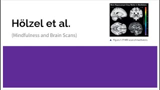 Hölzel et al  Mindfulness amp Brain Scans AS Level Revision Psychology 9990 CAIE 2024 [upl. by Nomaid]