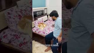 Lagta hai meri friend a gai Billu comedy 😂🤣🤣catlovercatshortsviralshortsubscribe🤣🤣🤣 [upl. by Stovall357]