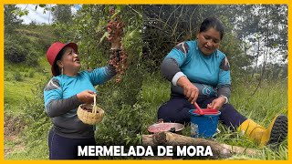 Rica mermelada de mora [upl. by Ahsyia]